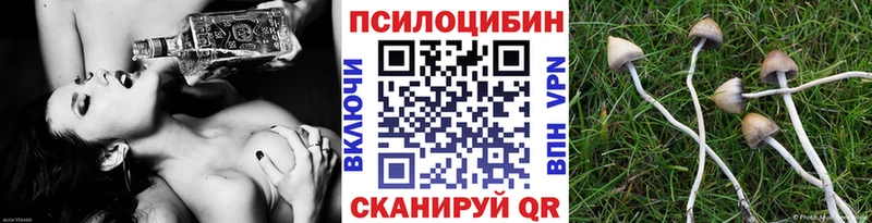 Галлюциногенные грибы Cubensis  Купить  Ленинск-Кузнецкий 