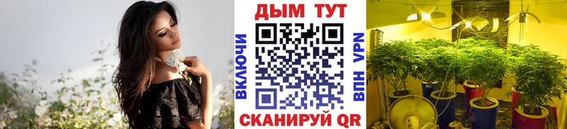 Бошки Шишки OG Kush  Купить  Ленинск-Кузнецкий 